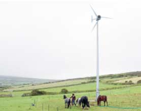 Pole mounted domestic wind turbine