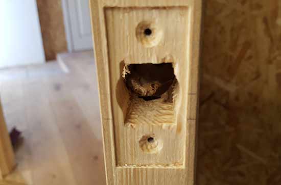 Latch recess and case hole