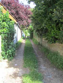 Track driveway leading to garage