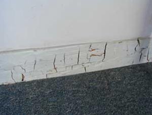 Dry rot causes cube shaped cracks in your wood