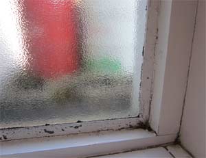 Damp problems can give rise to Dry Rot