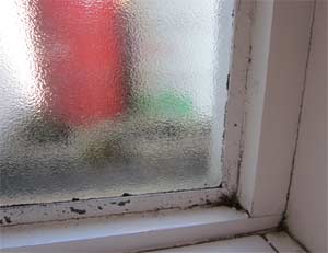 Damp problems can give rise to Dry Rot 