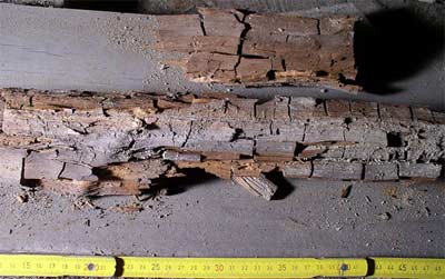 Dry rot if left untreated can cause your wood to crumble away