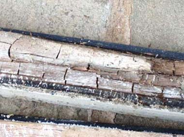 Wet Rot Causing Cracking in Timber