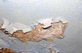 Efflorescence on  plaster where salts have blown the paint off the wall