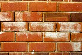 Damaged Brickwork caused by efflorescence on brick