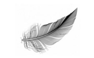 The term feathering out derives from feathers