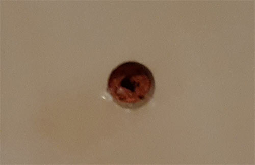 Wall plug inserted into hole in ceramic tile