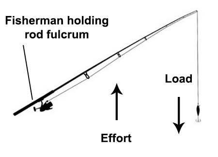 Forces involved when catching a fish