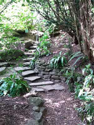 Flag stone steps