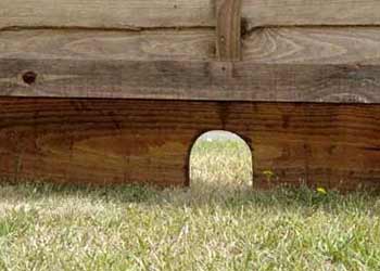 Hedgehog hole cut into gravel board