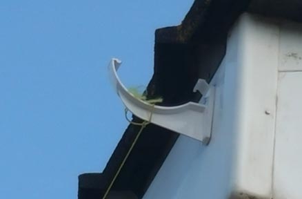 Gutter bracket fixed in place