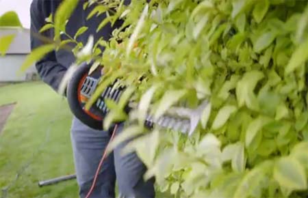 Cutting a hedge using electric trimmers