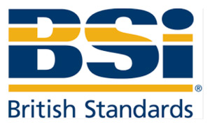 The BSI British Standards Institute