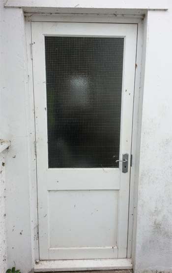 Panel door with reinforced glass pane