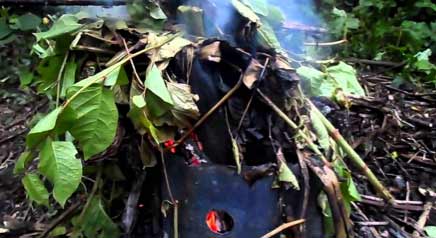 Burning Japanese Knotweed