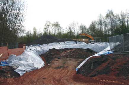 Burying Japanese Knotweed