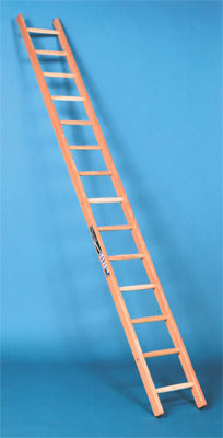 Single section wooden ladder