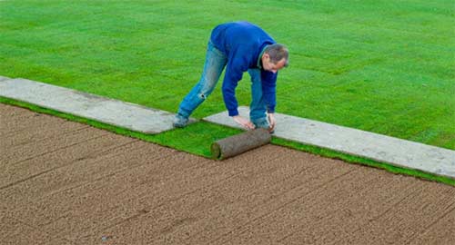 Laying turf from a board