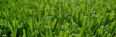 Close up of artificial grass