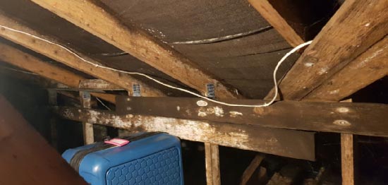 Damp causing mould on roof timbers attributed to condensation
