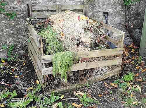 Rotten timber compost bin