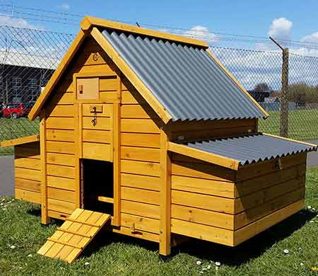 Chicken coop with nesting box