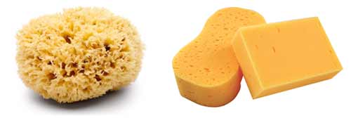 Natural and synthetic sponges used for paint effects