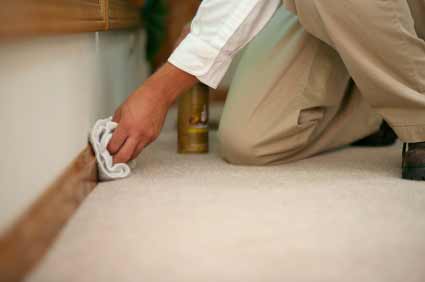 Clean off your skirting after sanding