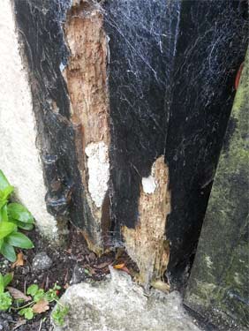 Rot in frame of wooden garage door