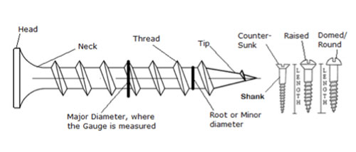 Parts of a common screw