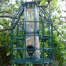 Bird feeder with squirrel cage, filled with seeds and loose bird food