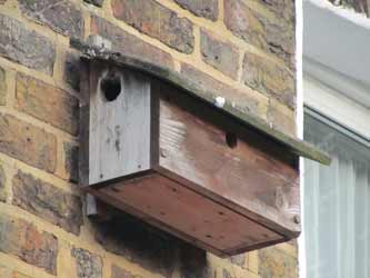 Bird box or nest box with various different size holes