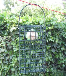 Box cage bird feeder with fat ball style bird food inside