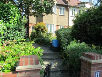 A town garden with an excellent range of cover for attracting birds