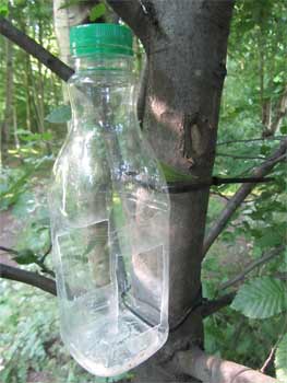 A DIY Bird feeder made from a recycled plastic bottle