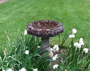 Stone bird table feature
