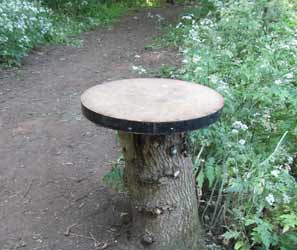 Tree stump bird table for feeding birds, ideal for a woodland garden