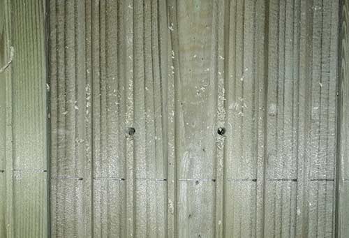 Pilot holes drilled in table top timber