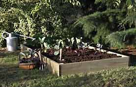 Example of a Raised Planting Bed