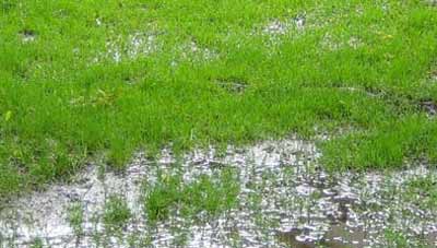 Waterlogged grass caused by heavy clay soil