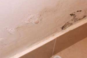A brown tide line on your wall is one of the signs of rising damp