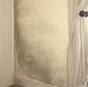 Once you have treated your rising damp, check your walls for mould