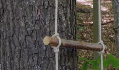 Branches used as rope ladder rungs