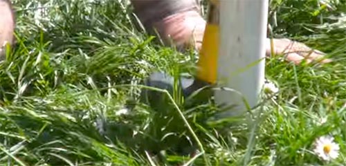 Tamping down turf using a lump hammer