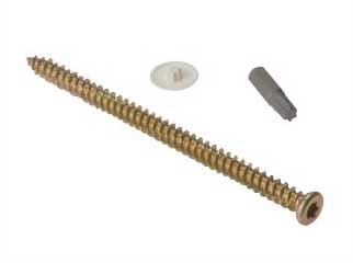 Concrete frame screw