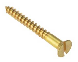 Slotted brass screw