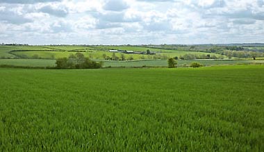 Finding the right piece of land for self-build