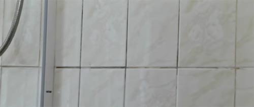 Dirty grout joints on tiled bathroom wall