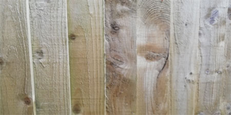 Pressure treated timber fence